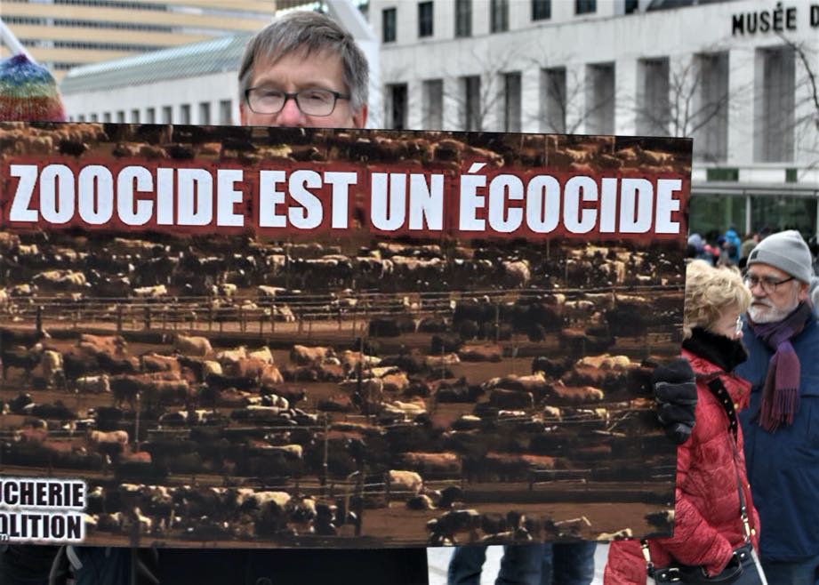 Zoocide est écocide