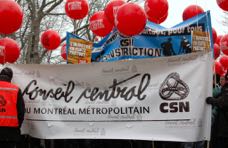 DSC_0040 (2)
