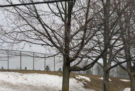 IMG_0451